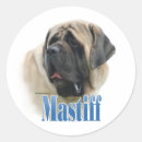 Recherche de mastiff autocollants Chien