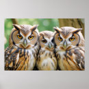 Zoek naar uil decor posters Liefde