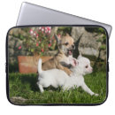 Recherche de faon macbook housses Chiwawa