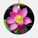 Zoek naar lotus flower ornamenten Roze