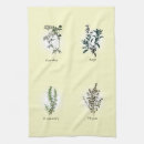 Recherche de persil cuisine linges Botanique