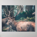 Zoek naar jager kunst Bos