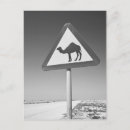 Recherche de du qatar cartes postales Blanc