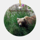Zoek naar national parks ornamenten Alaska