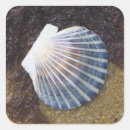 Recherche de marre autocollants Plage