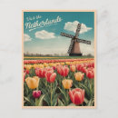 Recherche de fleurs de tulipe cartes postales Pour tous