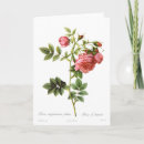 Zoek naar rosa kaarten Roze