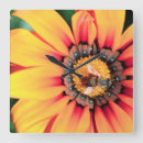 Recherche de extrême horloges Animal