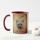 Recherche de cairn tasses Terrier
