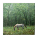 Recherche de cheval l carreaux Nature