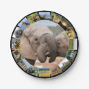 Recherche de collecte photographie Faune