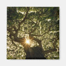 Zoek naar tree magneten Bos