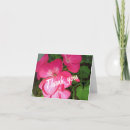 Zoek naar hartelijk fotografie Bloemen