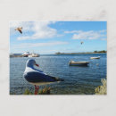 Zoek naar boten briefkaarten Ocean