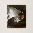 Recherche de jack russell puzzles Chien