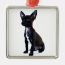 Recherche de petit chien ornements Animaux