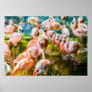 Recherche de décorez posters Zoo