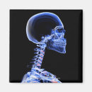 Recherche de rayon x magnets Horizontal