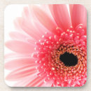 Recherche de gerbera dessous de verres Floral