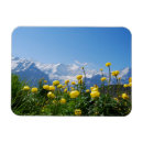 Recherche de vierges magnets Fleur