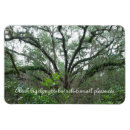 Recherche de arbre de paix magnets Nature