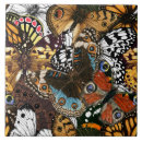 Recherche de papillon carreaux Peinture