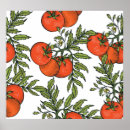Zoek naar tomaten posters Illustratie