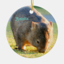 Recherche de nature photography Funny
