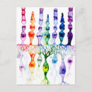 Recherche de neurones cartes postales Anatomie