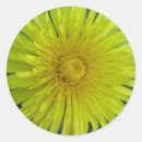 Zoek naar onkruid stickers Bloem