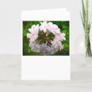 Zoek naar flox kaarten Natuur