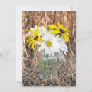 Recherche de black eyed susan Marguerites