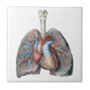 Zoek naar verpleegster tegels Medisch