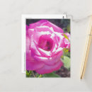 Recherche de abeille colorée cartes postales Floral