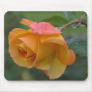 Recherche de macro de fleur électronique Jaune