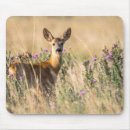 Recherche de cerf tapis souris Faune