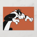 Zoek naar looney toons briefkaarten Looney tunes cat