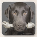 Recherche de chocolat labrador dessous de verres Chien