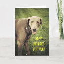 Recherche de fainéant vœux cartes Dog