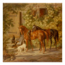 Recherche de adams posters Cheval