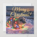 Recherche de phoque vœux cartes Festif