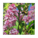 Recherche de bourdon carreaux Fleurs