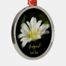 Zoek naar daisy ornamenten Bloesem