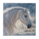 Recherche de beau cheval carreaux Chevaux