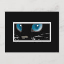 Recherche de yeux bleus invitations Animal