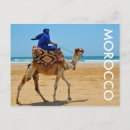 Recherche de chameau cartes postales sahara