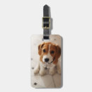 Recherche de beagle bébé accessoires Chien