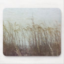 Recherche de dunes plage tapis souris Paysages