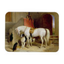 Recherche de georges magnets Huile