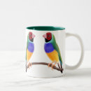 Recherche de pinsons tasses Oiseau